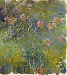 Kalokvět, 1914-26